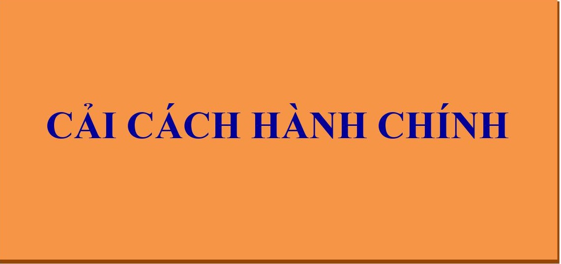 Báo cáo cải cách hành chính tỉnh Bình Định quý I/2021